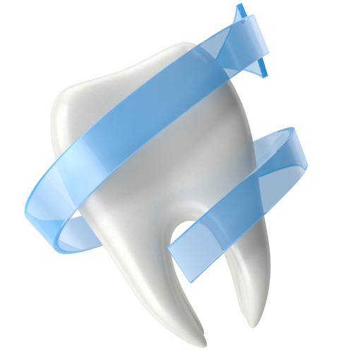 Teeth
